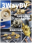 3waybv